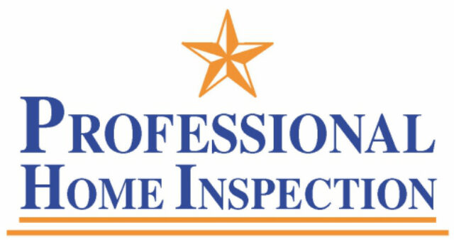 Professional Home Inspection